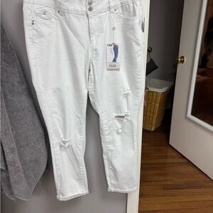 YMI White Mid Rise Jeans